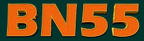 BN55